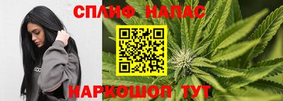 таблы Будённовск