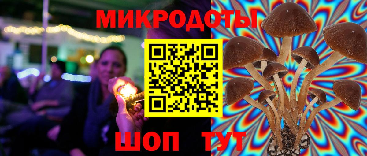 Галлюциногенные грибы GOLDEN TEACHER Химки